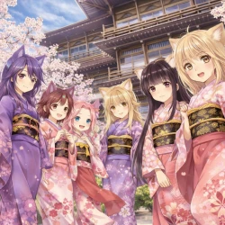 Загадочная история "Коноханы" — постер аниме