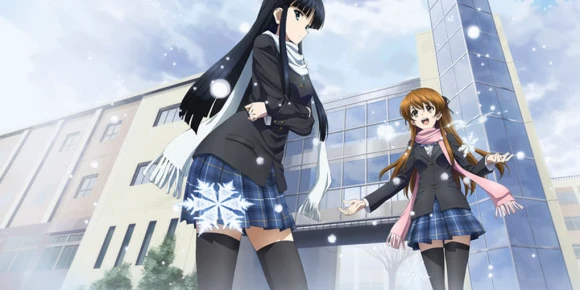 Белый альбом 2 — баннер