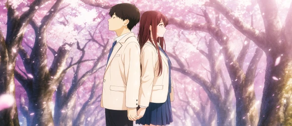 Хочу съесть твою поджелудочную железу — баннер