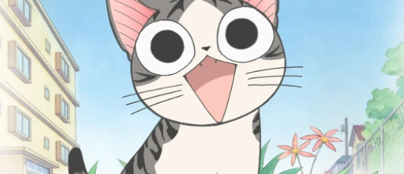 Милый дом Ти — баннер