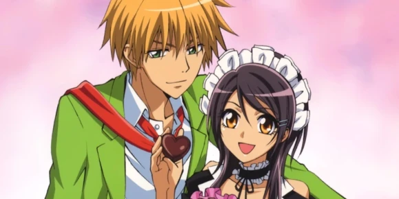 Президент - горничная! — баннер