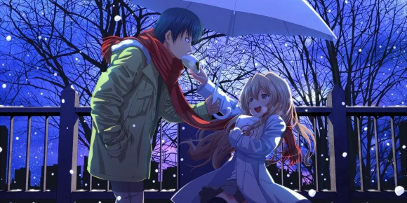 Торадора! — баннер