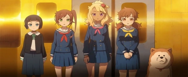 Баннер категории «Cgdct»